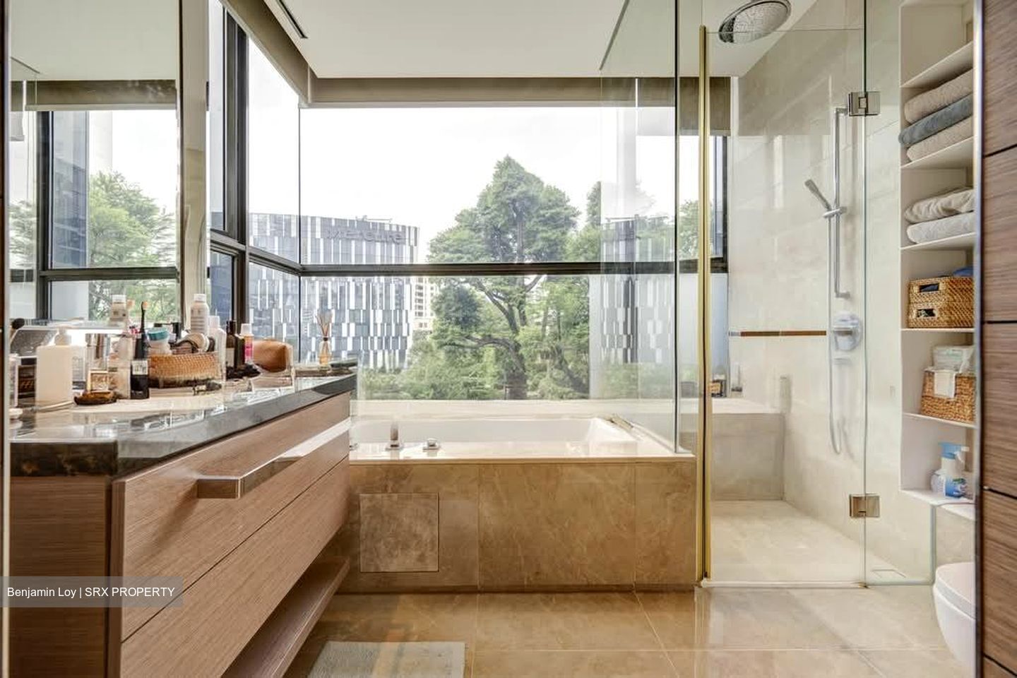One Balmoral (D10), Condominium #584885901